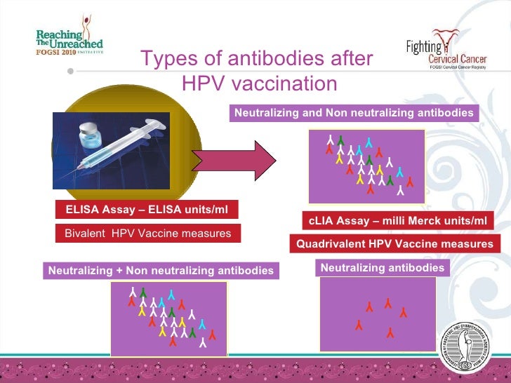 the effect of hpv human papilloma Human papillomavirus (hpv) infections are the most common sexually transmitted infection in the united states. the effect of hpv human papilloma Human papillomavirus (hpv) infections are the most common sexually transmitted infection in the united states.